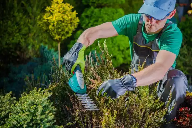landscaping services New Roads